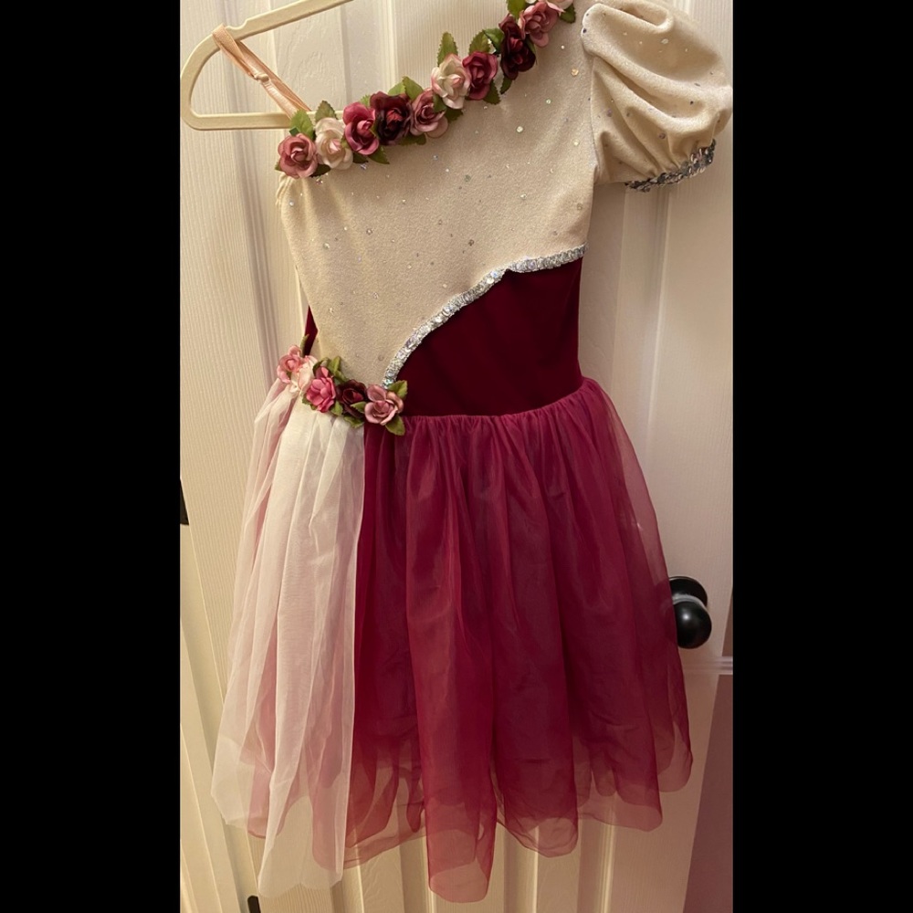 Child’s Fairy Dress